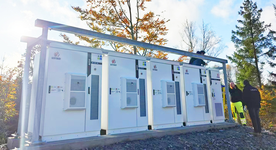 215Kwh 컨테이너 태양 리?? 배터리 산업 및 상업용 용도의 고전압 에너지 저장